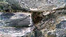 acastle
                          102370.jpg
